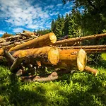 Erbhof Hinterrain Фермерский дом Леоганг