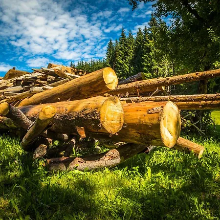 Erbhof Hinterrain Farmház Leogang