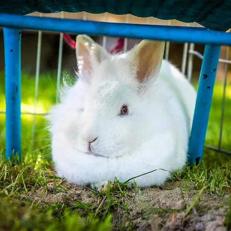 Erbhof Hinterrain Alojamento de Turismo Rural