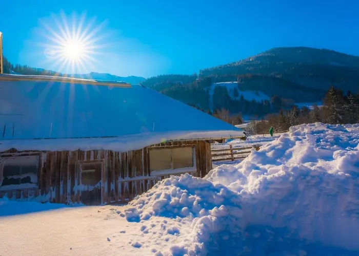 Erbhof Hinterrain Çiftlik konaklama